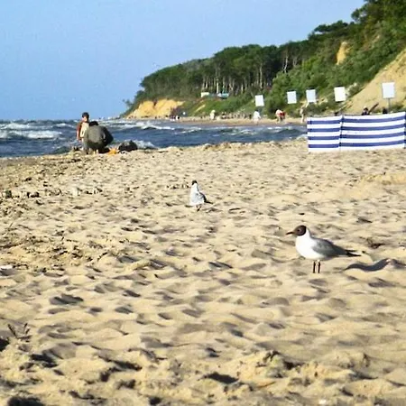 Comfortable No 10 , Summer Pool